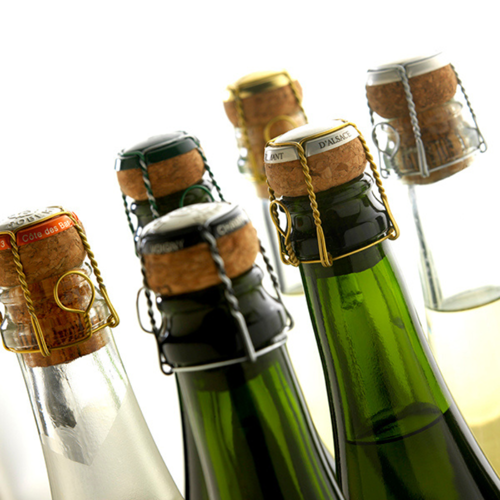 Untitled design - 2026-04-09T080257.702